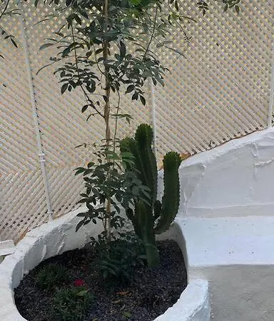 Casa Cactus Paraiso Парке-Оландес