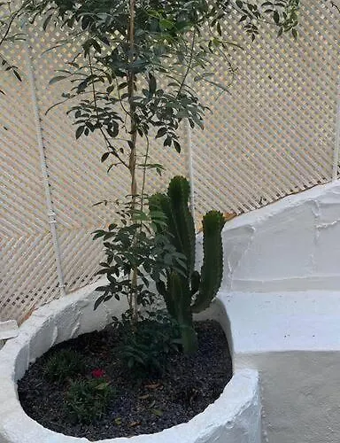 Casa Cactus Paraiso Parque Holandes