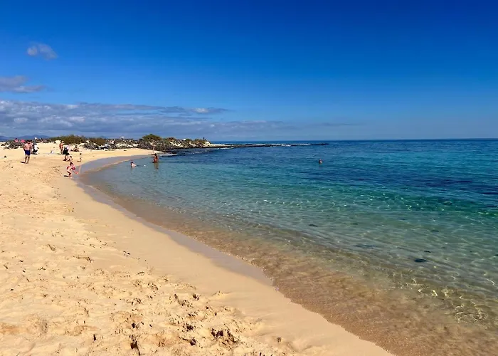 公寓 Casa Cactus Paraiso Parque Holandes